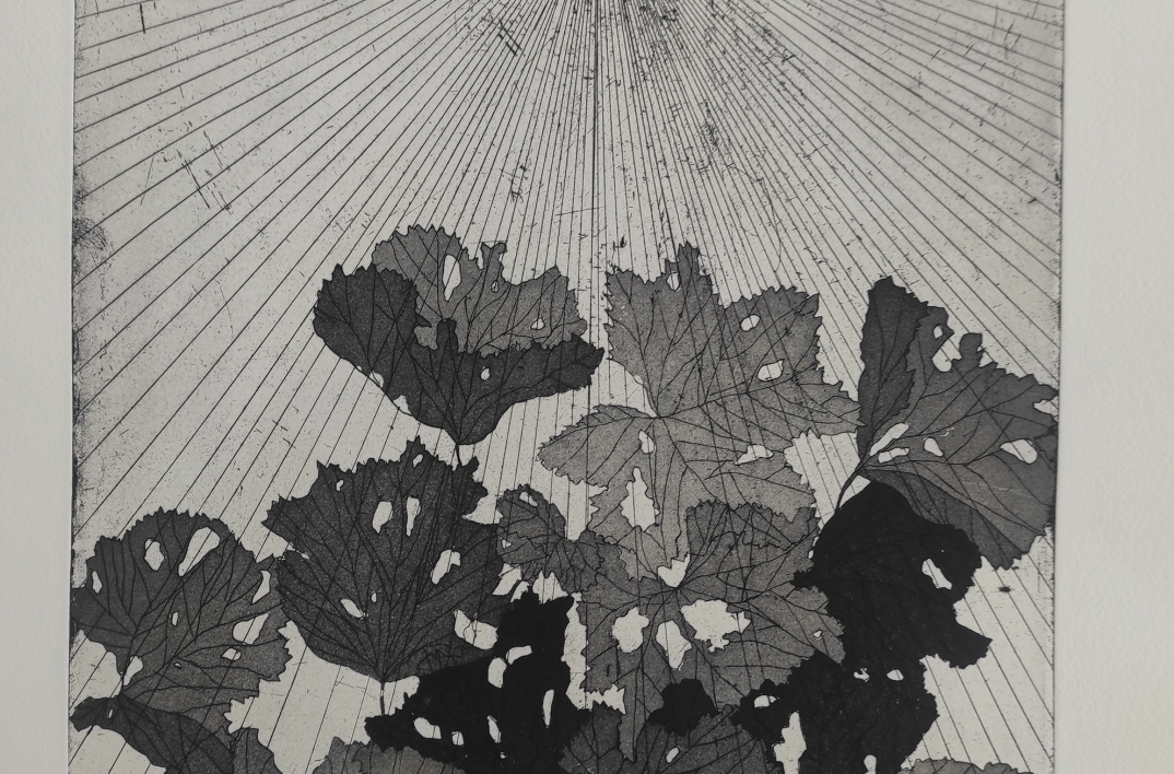 אירועים בתערוכה עם האמנים המציגים